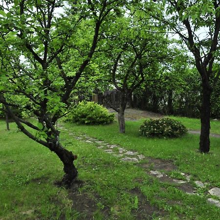 Szyszka i Róża Domek na Jurze Zelazko Zewnętrze zdjęcie