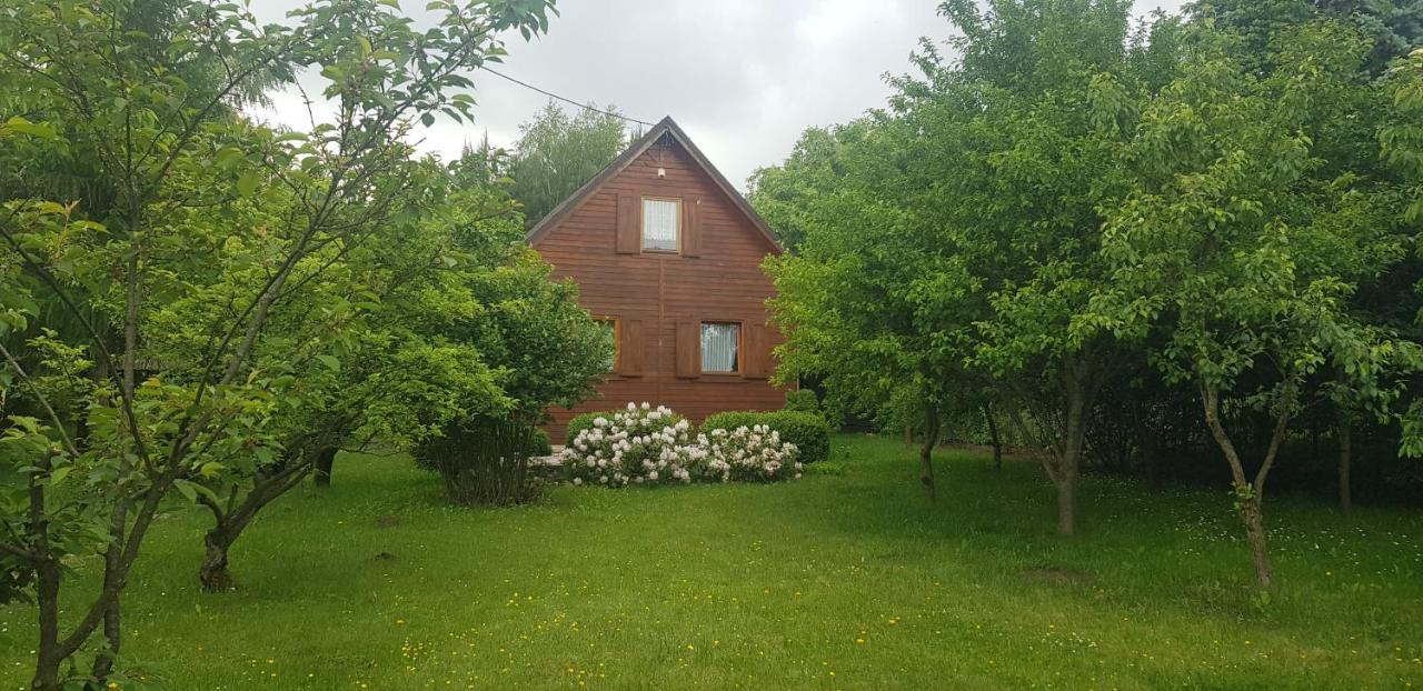 Szyszka i Róża Domek na Jurze Zelazko Zewnętrze zdjęcie