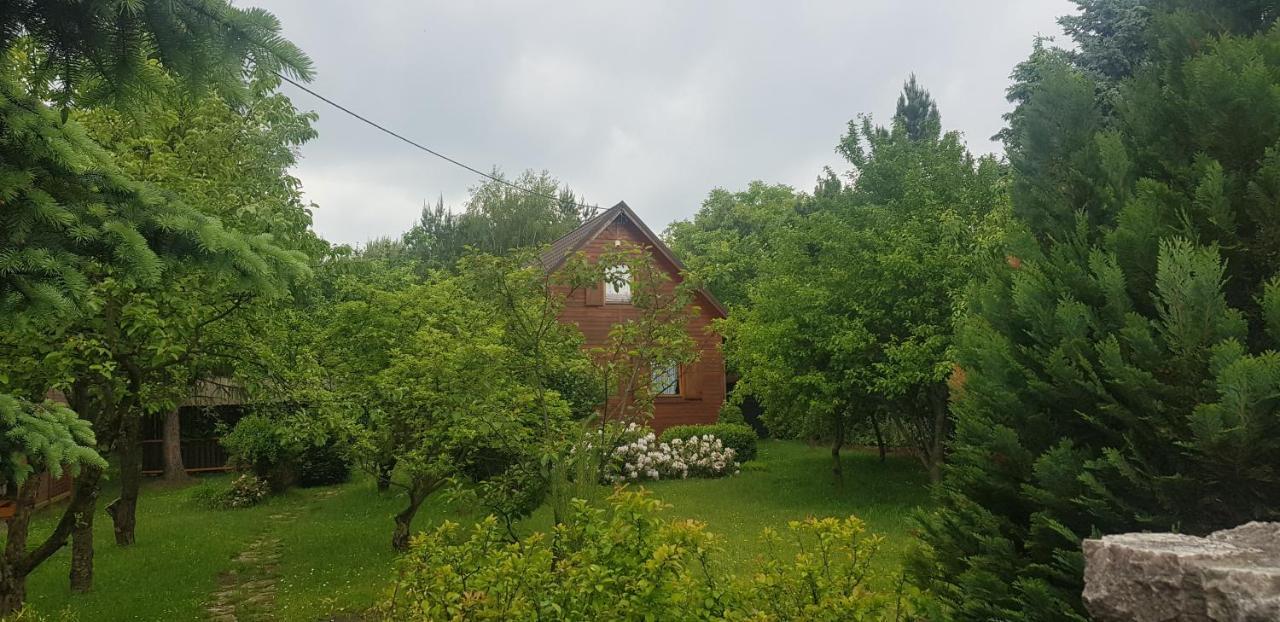 Szyszka i Róża Domek na Jurze Zelazko Zewnętrze zdjęcie