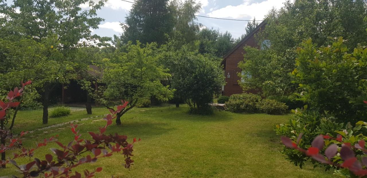 Szyszka i Róża Domek na Jurze Zelazko Zewnętrze zdjęcie
