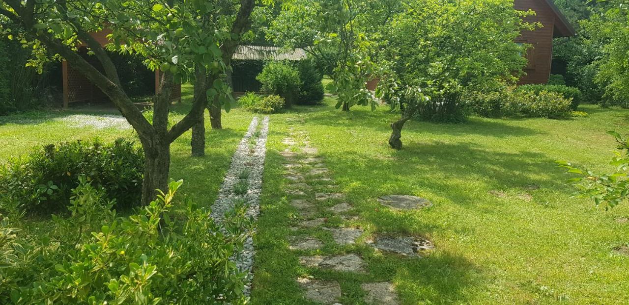 Szyszka i Róża Domek na Jurze Zelazko Zewnętrze zdjęcie